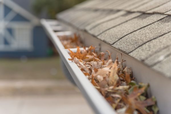 Leaf Barrier Installation in West Des Moines